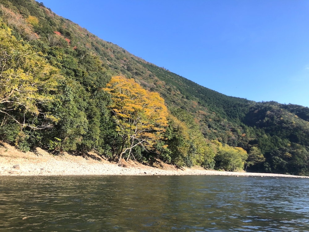 熊野川の紅葉